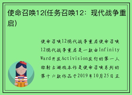 使命召唤12(任务召唤12:现代战争重启) 使命召唤12(任务召唤12:现代战争重启)